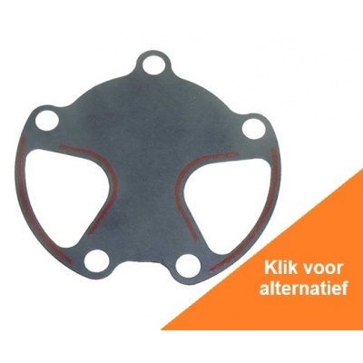 Foto van Water Pump Gasket