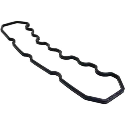 Valve cover gasket D30 Foto van Valve cover gasket D30