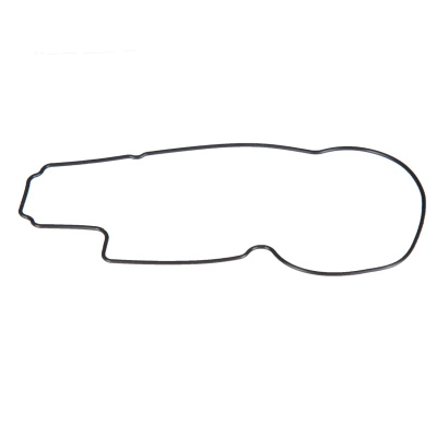 Float Chamber Gasket Foto van Float Chamber Gasket