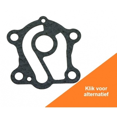 Water Pump Gasket Foto van Water Pump Gasket