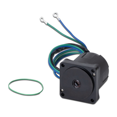 Foto van Tilt/Trim Motor, Yamaha