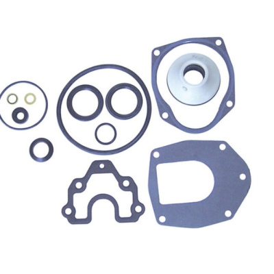 Foto van Lower Unit Seal Kit