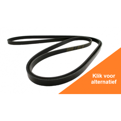 Belt, Serpentine Foto van Belt, Serpentine