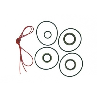 Crankshaft Seal Kit Foto van Crankshaft Seal Kit