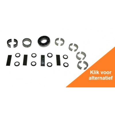 Foto van Powerhead Bearing Kit