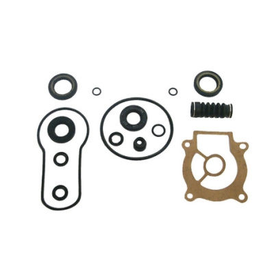 Foto van Lower Unit Seal Kit