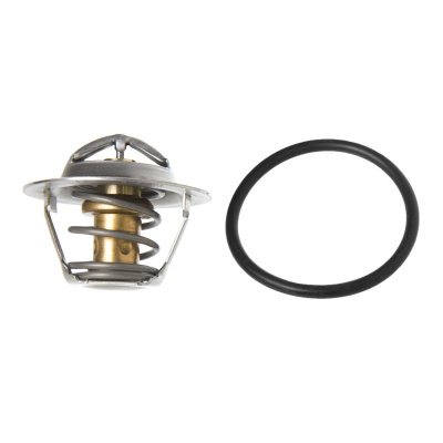 Foto van Thermostat - Raw Water