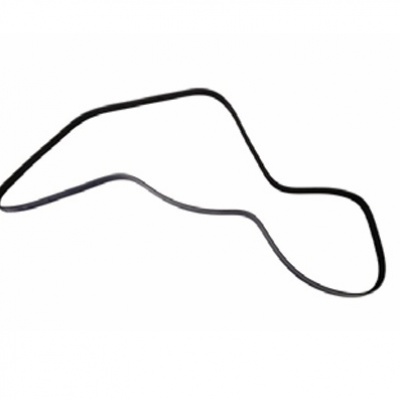 Foto van Belt, Serpentine LSA Power Steering