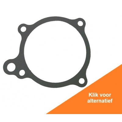 Foto van Water Pump Gasket