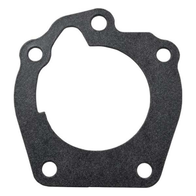 Foto van Water Pump Gasket