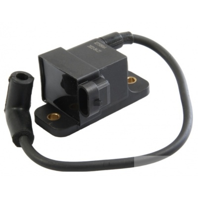 Foto van Ignition Coil CDI Module Mercury Mariner 30 4
