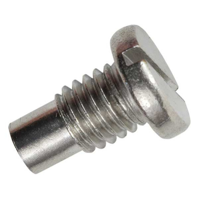 Foto van Drain Screw