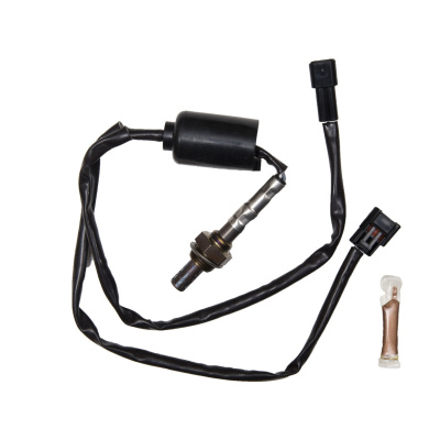 Foto van Oxygen Sensor