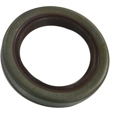 Oil Seal Foto van Oil Seal