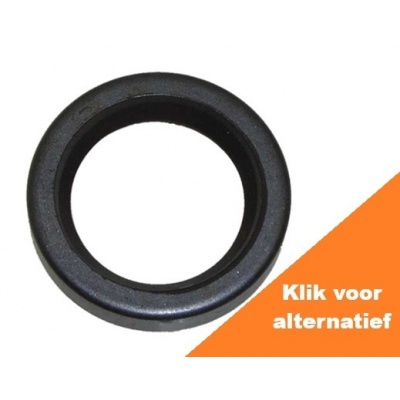 Seal Foto van Seal
