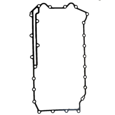 Foto van Gasket, Crankcase Cover