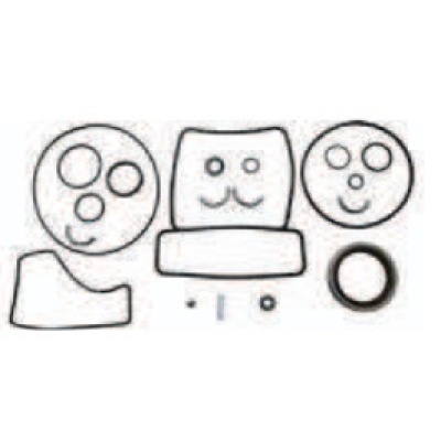 Foto van Upper Gearcase Seal Kit