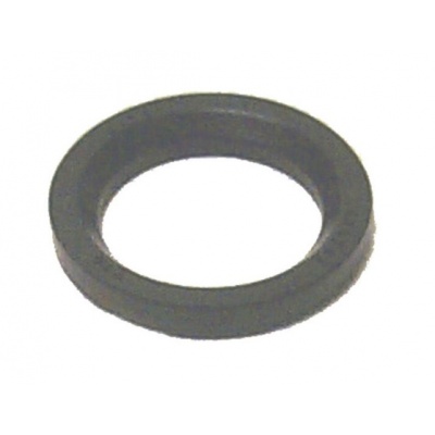Thermostat Seal Foto van Thermostat Seal