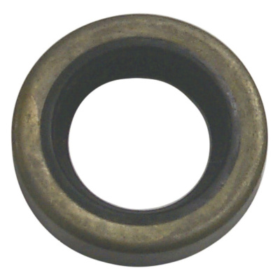 Oil Seal Foto van Oil Seal