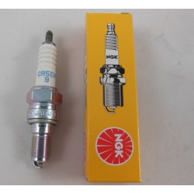 Foto van Spark plug NGK CR5EH-9 Honda BF6, BF8, BF9.9,