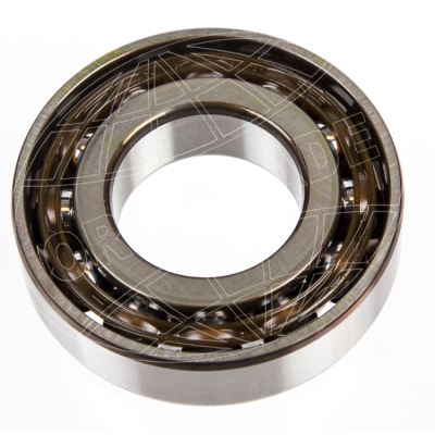 Roller bearing DPH, DPH-D Foto van Roller bearing DPH, DPH-D