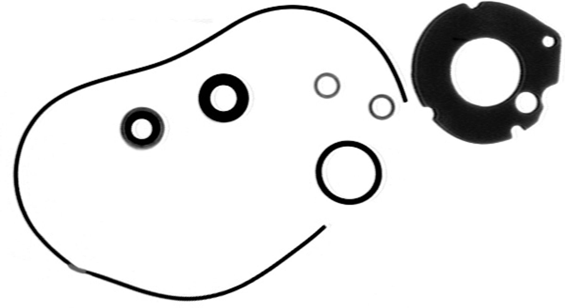 Lower Unit Seal Kit Lower Unit Seal Kit