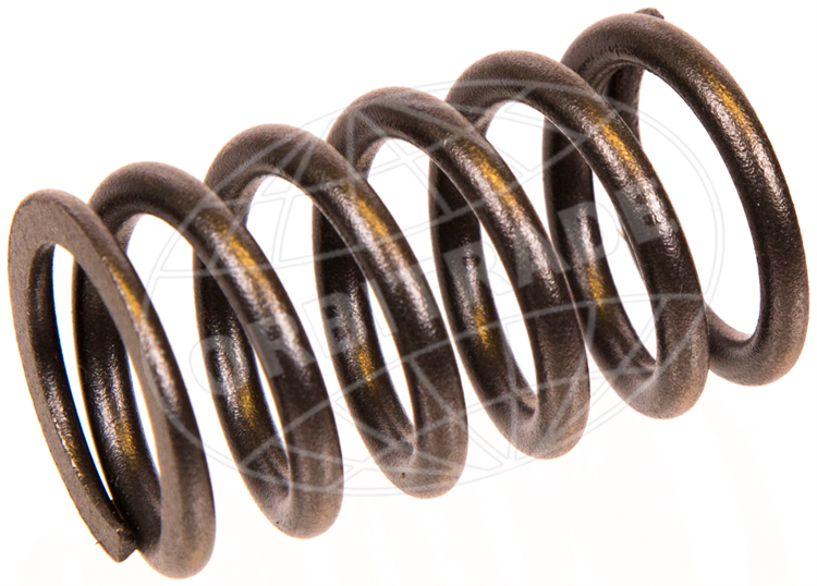 Valve spring D4, D6