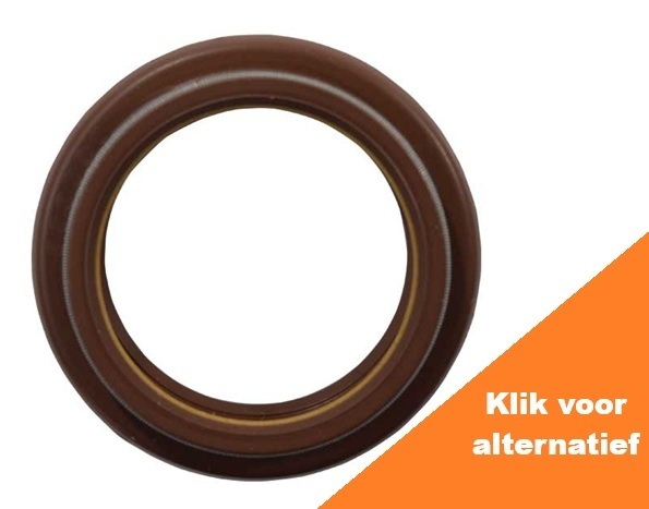 Oil Seal