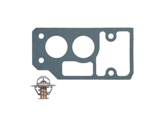 Thermostat Kit