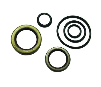 Crankshaft Seal Kit