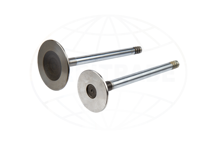 Exhaust valve B21, B23, B25