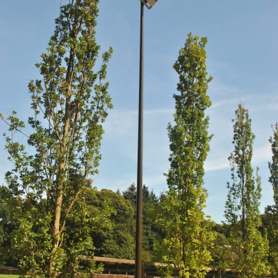 Foto van Lichtmast paardenbak 6m incl. 150W led lamp