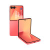 Afbeelding van Samsung Galaxy Z Flip 7 256GB Rood