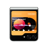 Afbeelding van Samsung Galaxy Z Flip 5 512GB F731B Groen