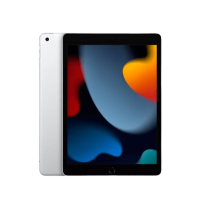 Apple iPad 2021 WiFi 64GB Zilver