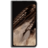 Google Pixel Fold 256GB Zwart