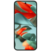 Google Pixel 9 Pro XL 256GB Grijs