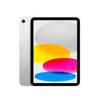 Apple iPad 2022 WiFi 256GB Zilver